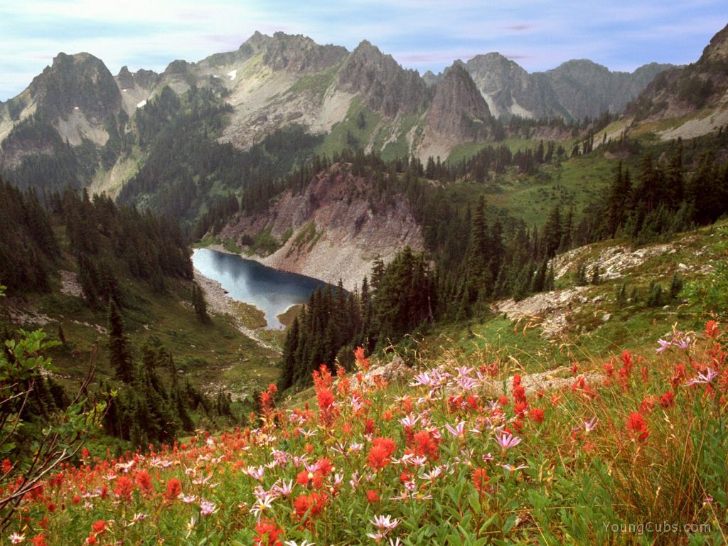 Cliff Lake and the Tatoosh Range, Mount Rainier National Park, Washington
